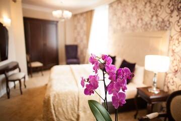 Фото номера Улучшенный двухместный номер с 1 кроватью Отель Rezydencja Luxury Hotel Bytom Piekary Śląskie г. Пекары-Слёнске 9